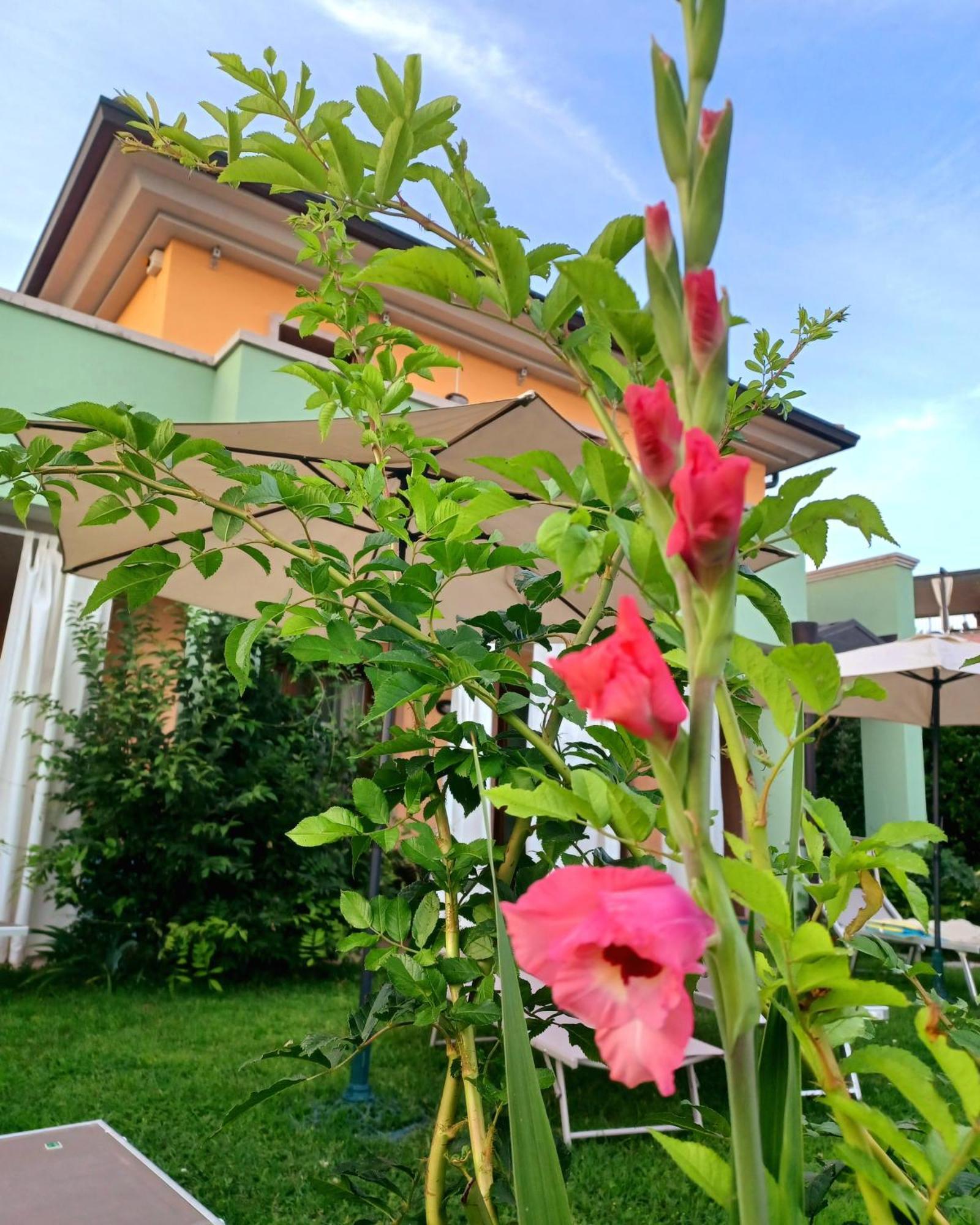 Regina Gardesana Villa Dış mekan fotoğraf